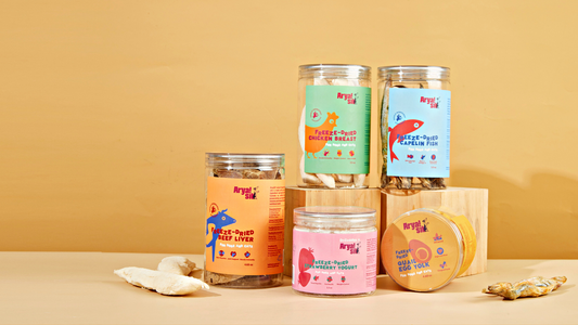 Our Freeze-drying Process