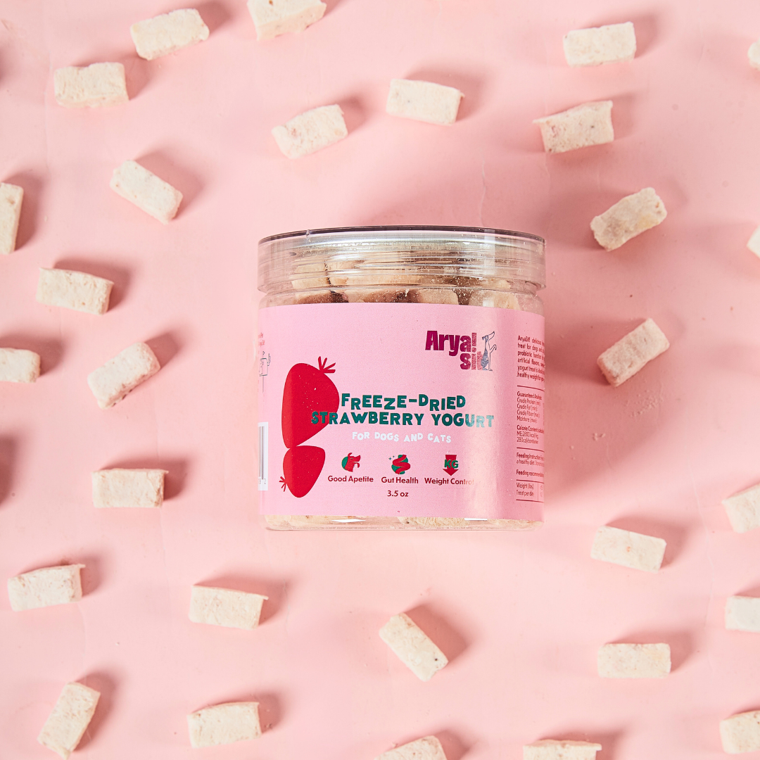 Freeze Dried Strawberry Yogurt Arya Sit