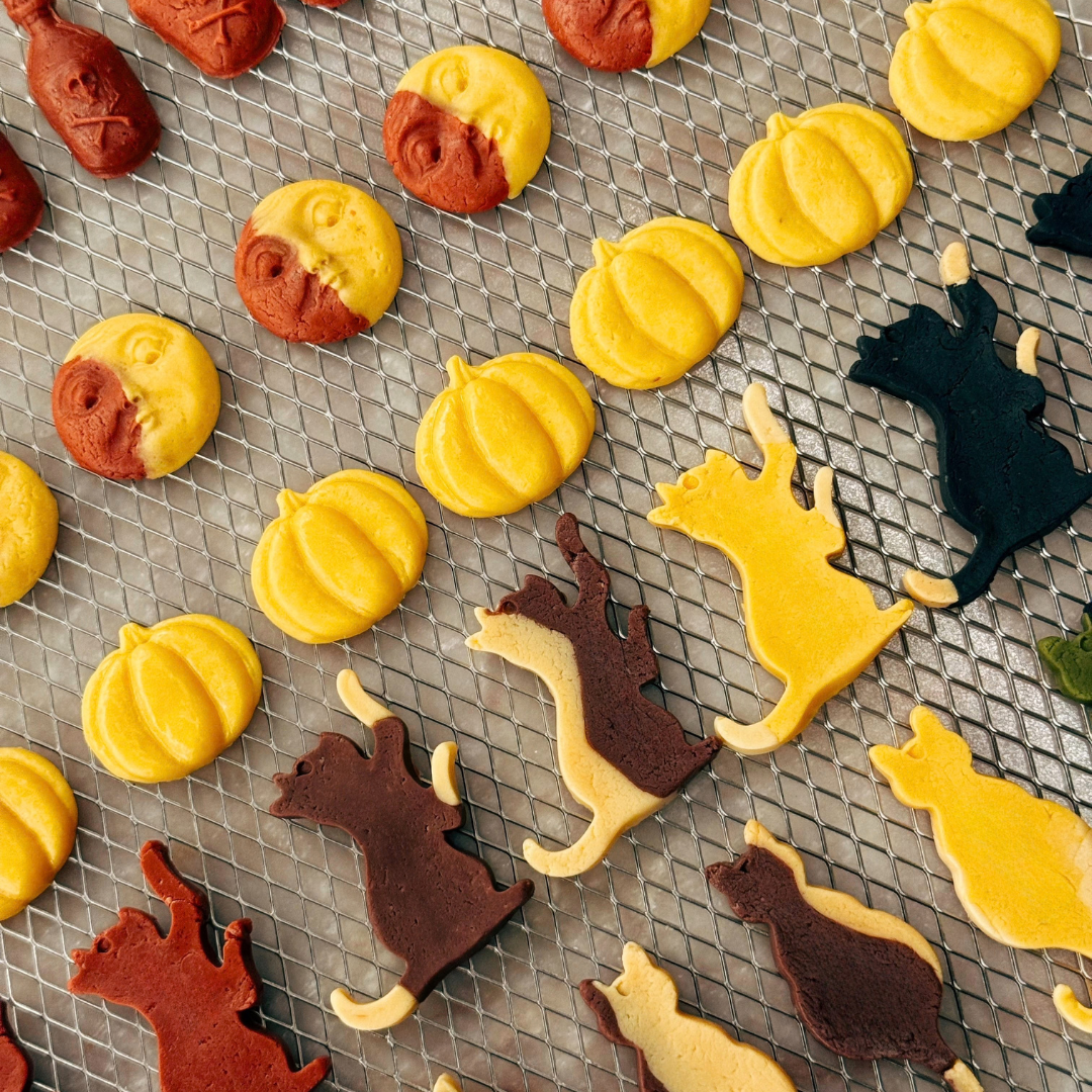 Trick or Treat!