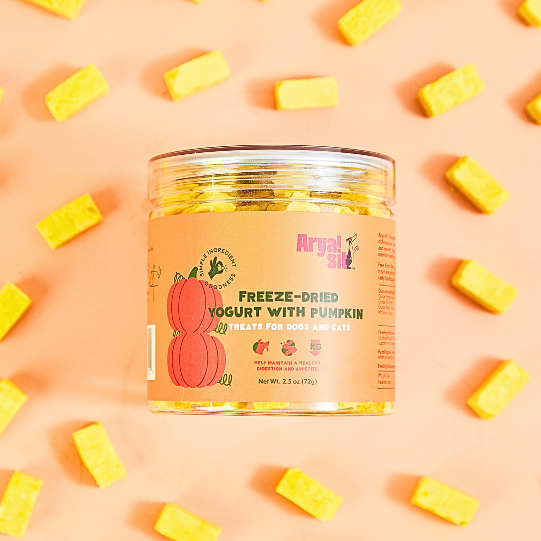 Freeze-Dried Pumpkin Yogurt