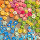 Summer Bloom Goat Milk Cookies