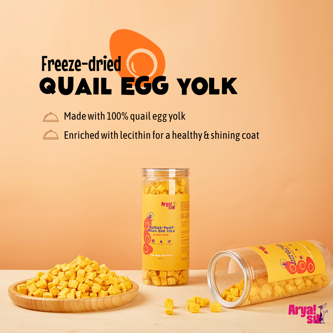 Freeze-Dried Egg Yolk Bites