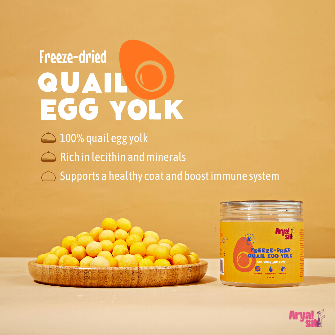 Freeze Dried Quail Egg Yolk Arya Sit