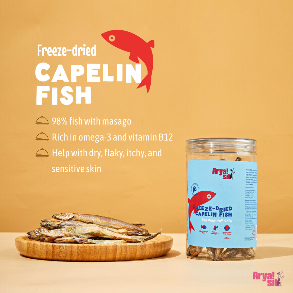 Freeze-Dried Capelin – Arya Sit!